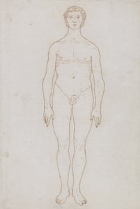 Studio della Figura Umana, Vista Anteriore, da 