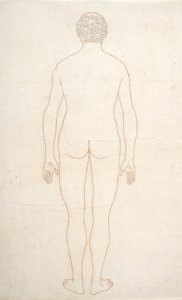 Studio della figura umana, vista posteriore, da A Comparative Anatomical Exposition of the Structure of the Human Body with that of a Tiger and a Common Fowl, c.1795-1806 da George Stubbs