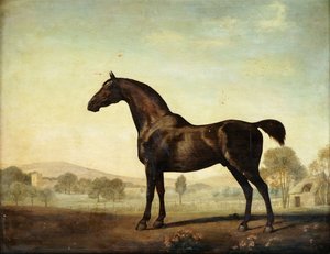 Sweetwilliam, un Cavallo da Corsa Baio, in un Recinto, 1779 da George Stubbs