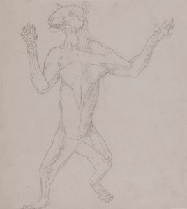 Corpo di Tigre, in Posizione Umana