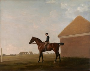Turf, con Fantino, a Newmarket