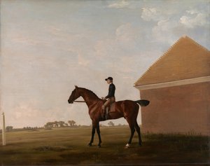 Turf, con fantino a Newmarket