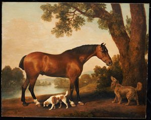 Immagine sconosciuta da George Stubbs