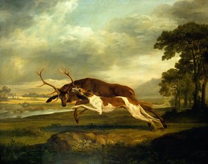 Immagine sconosciuta da George Stubbs