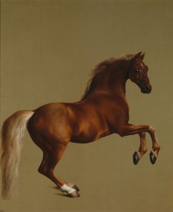 Whistlejacket da George Stubbs