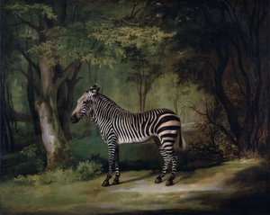 Zebra da George Stubbs