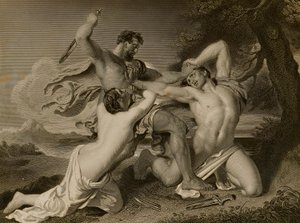 Il combattimento da George Thomas Doo