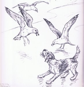 Rosie che allontana i gabbiani, da Mudlarks pubblicato da Collins da George Vernon Stokes