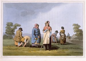 Lowkers, inciso da Robert Havell il Vecchio, pubblicato nel 1814 da Robinson e Son, Leeds da George Walker