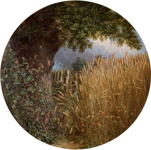 La gloria dell