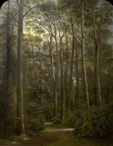 Il deserto, 1857 da George Augustus Wallis