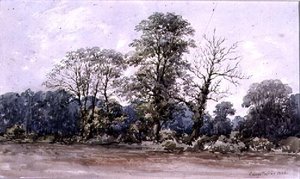 Alberi a Perry Bar vicino a Birmingham, XIX secolo da George Augustus Wallis