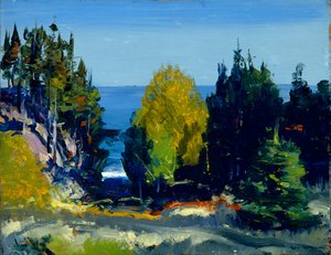 Il boschetto - Monhegan, 1911