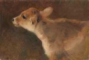 Un vitello, 1879