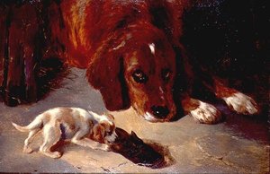 Un Cucciolo Curioso