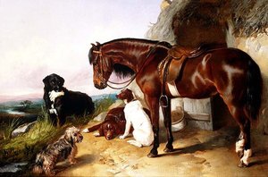 Ritratti di Favoriti