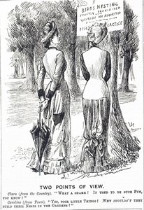 Fumetto che commenta la Legge sulla Protezione degli Uccelli del 1880 da George du Maurier