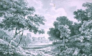 Una casa vista attraverso un parco aperto