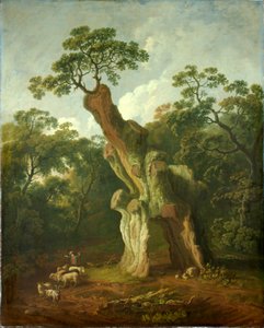 Veduta della Quercia di Greendale nel Parco di Welbeck