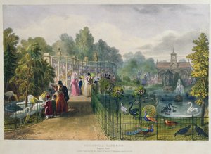 La Voliera ai Giardini Zoologici, Regents Park, incisa e pub. dall