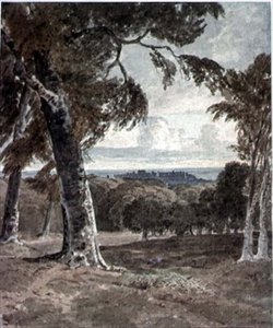 Parco di Windsor, con il castello in lontananza