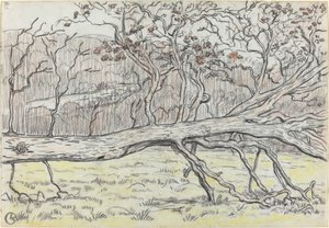Albero abbattuto, Normandia