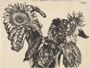 Girasoli