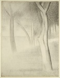 Alberi