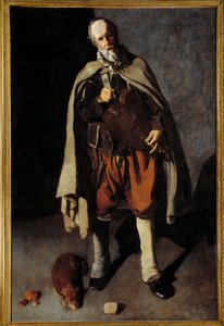 Il vecchio cane