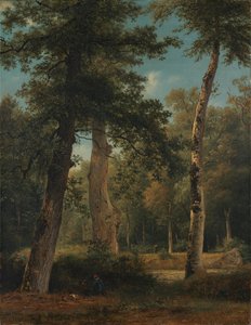 Un bosco a Fontainebleau da Georgius Jacobus Johannes van Os