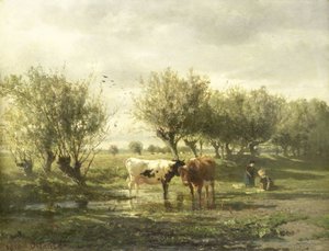 Mucche a uno stagno