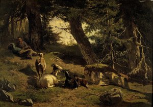 Paesaggio Svizzero