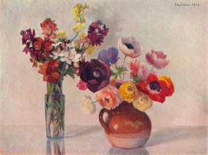Anemoni e violacciocche
