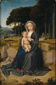 Riposo durante il volo verso l