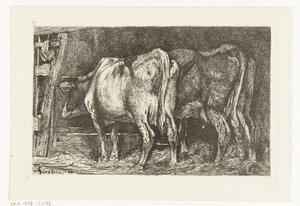 Due mucche vicino a una mangiatoia da Gerard Jan Bos