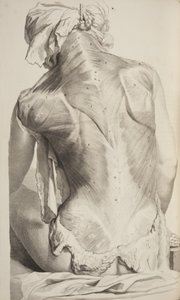 Anatomia Humani Corporis di Govard Bidloo, 1685 da Gerard de Lairesse
