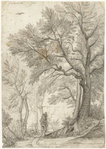 Bosco della Villa Madama fuori Roma da Gerard ter Borch
