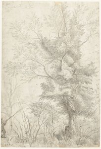 Bosco della Villa Madama fuori Roma, con un cacciatore che spara da Gerard ter Borch