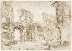 Rovine del Colosseo, Roma, viste dall
