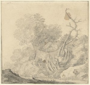 Case tra alberi vicino all