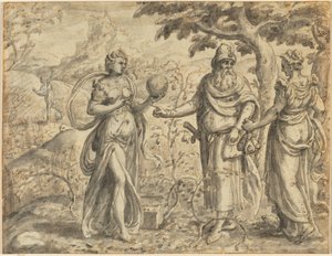 Il Seme Caduto tra le Spine, dalla Parabola del Seminatore da Gerard van Groeningen