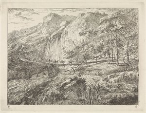 Asini da soma su un ponte presso una cascata da Gerard van Nijmegen