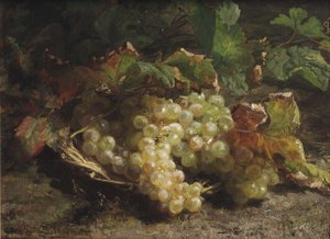 Uva bianca in un cesto di vimini