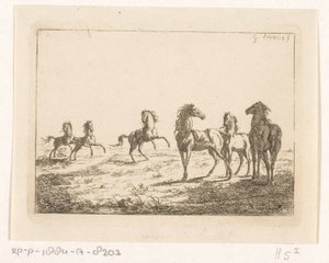 Branco di cavalli selvaggi da Gerardus Emaus de Micault