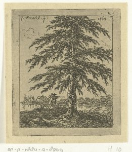 Paesaggio con faggio e cacciatore