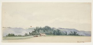 Paesaggio collinare con mucche
