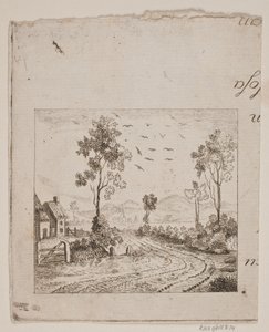 Paesaggio con casa vicino a una strada con albero e uccelli in volo