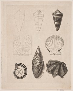Tavola con lumache da Gerhard Ludvig Lahde