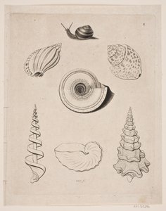 Tavola con lumache da Gerhard Ludvig Lahde