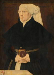 Ritratto di una signora da German 16th Century